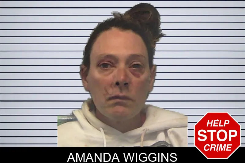 Amanda Wiggins mugshot
