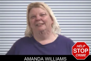 Amanda Williams mugshot