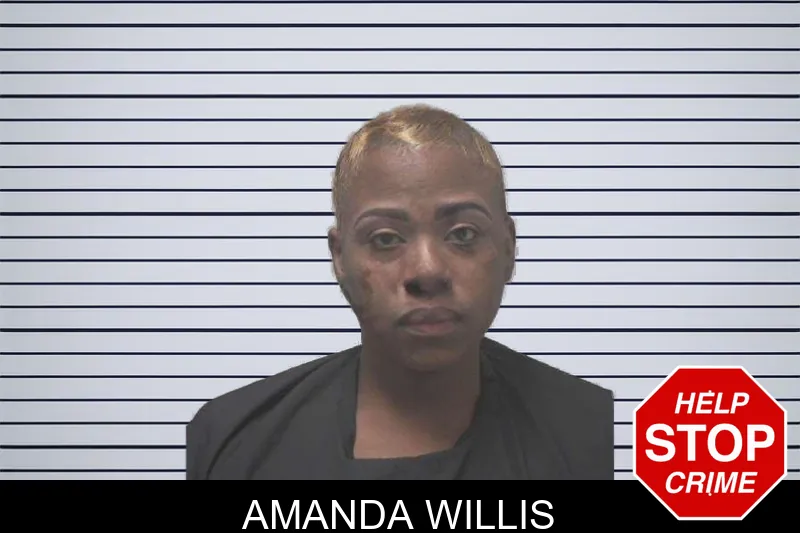 Amanda Willis mugshot