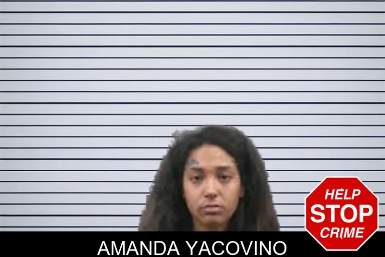 Amanda Yacovino mugshot – Banks County , Georgia Amanda Yacovino