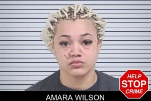 Amara Wilson mugshot