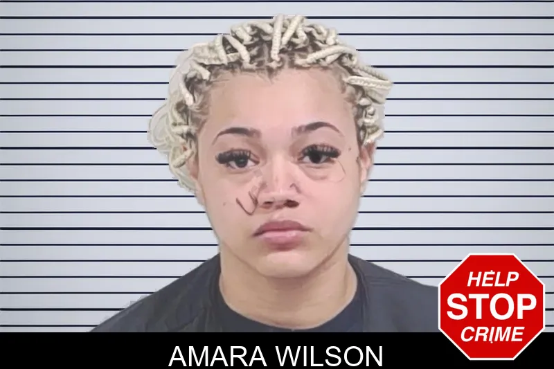 Amara Wilson mugshot