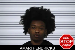 Amari Hendricks mugshot