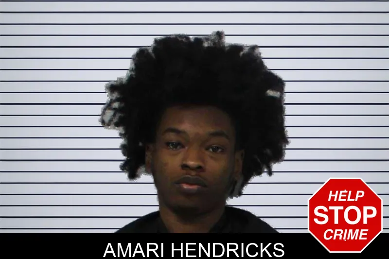 Amari Hendricks mugshot