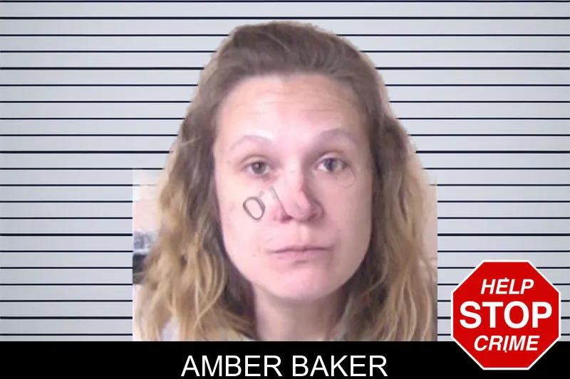Amber Baker mugshot – Walker County , Georgia Amber Baker mugshot