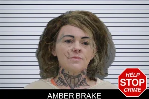 Amber Brake mugshot