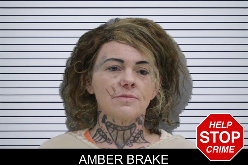 Amber Brake mugshot