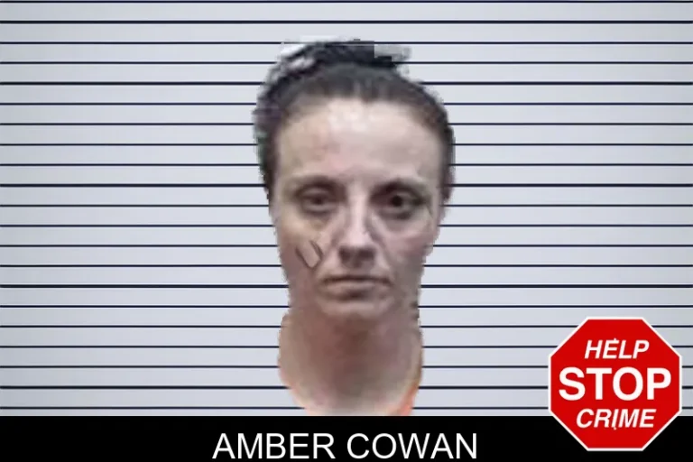 Amber Cowan mugshot – Tattnall County , Georgia Amber Cowan