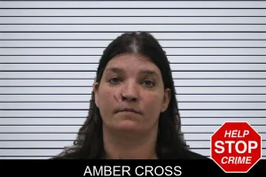 Amber Cross mugshot