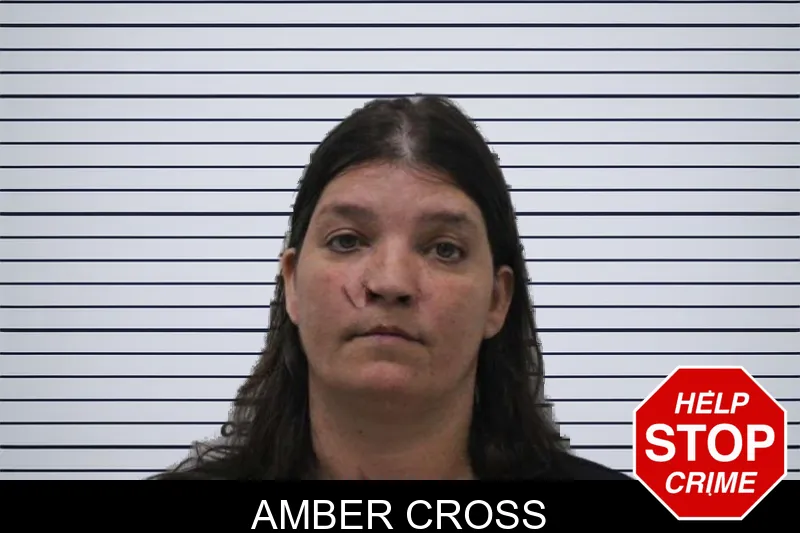 Amber Cross mugshot