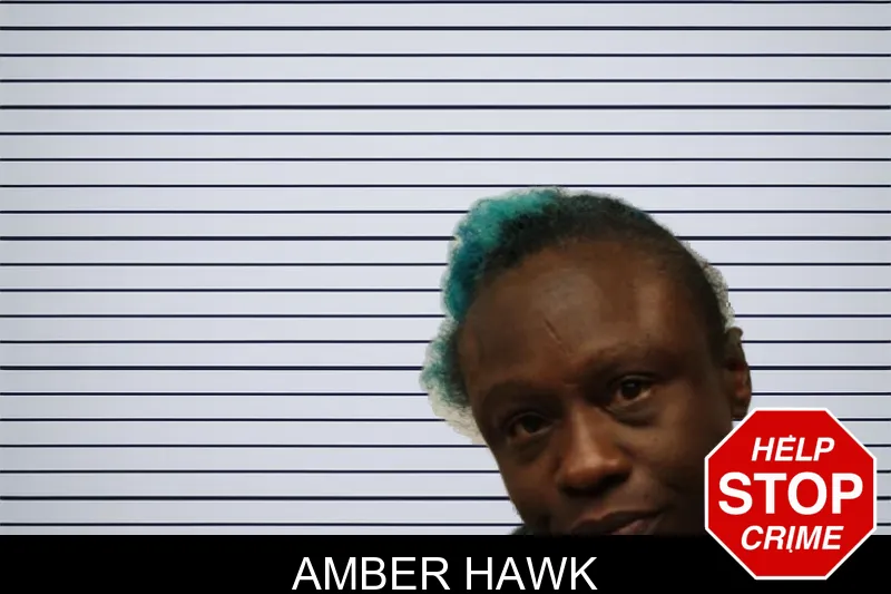 Amber Hawk mugshot