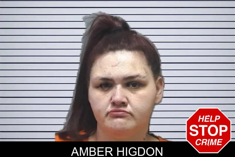 Amber Higdon mugshot