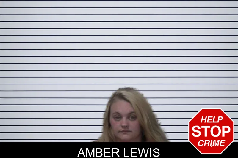 Amber Lewis mugshot – Sumter County , Georgia Amber Lewis mugshot