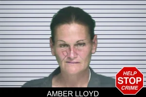 Amber Lloyd mugshot
