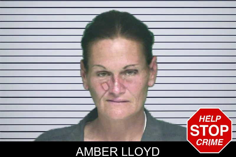 Amber Lloyd mugshot – Appling County , Georgia Amber Lloyd mugshot