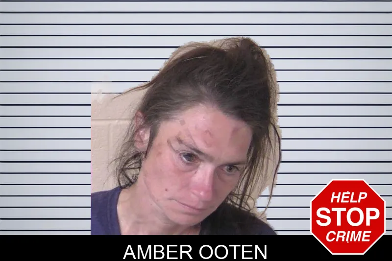 Amber Ooten mugshot – Walker County , Georgia Amber Ooten mugshot
