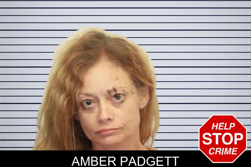Amber Padgett mugshot