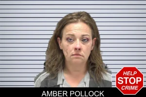 Amber Pollock mugshot