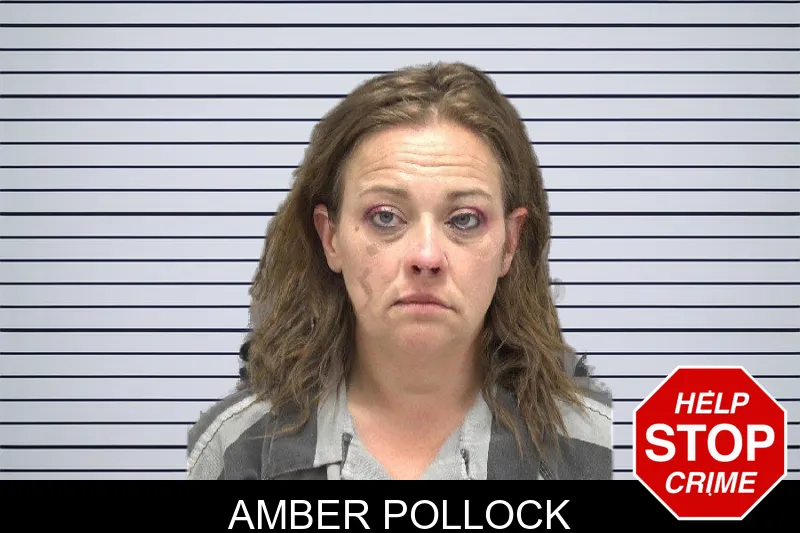 Amber Pollock mugshot