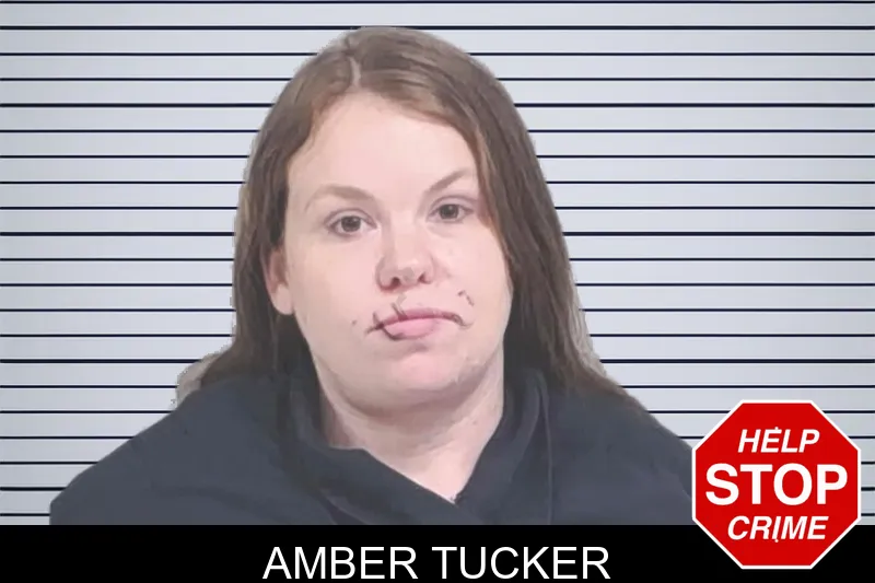 Amber Tucker mugshot