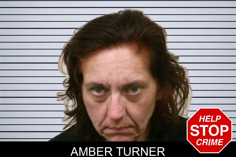 Amber Turner mugshot