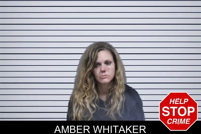 Amber Whitaker mugshot