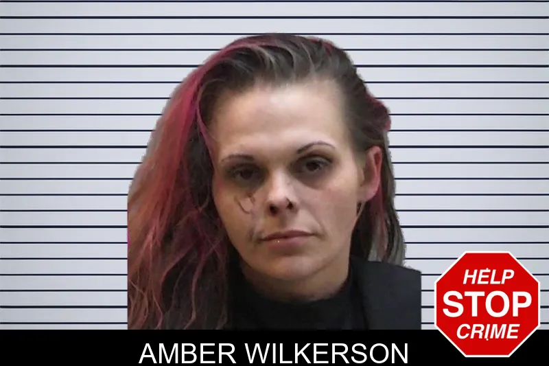 Amber Wilkerson mugshot