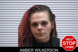 Amber Wilkerson mugshot