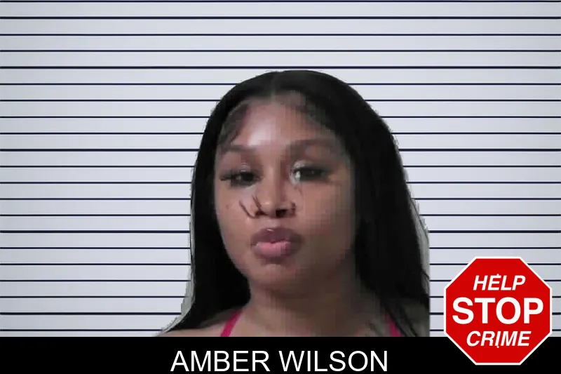 Amber Wilson mugshot