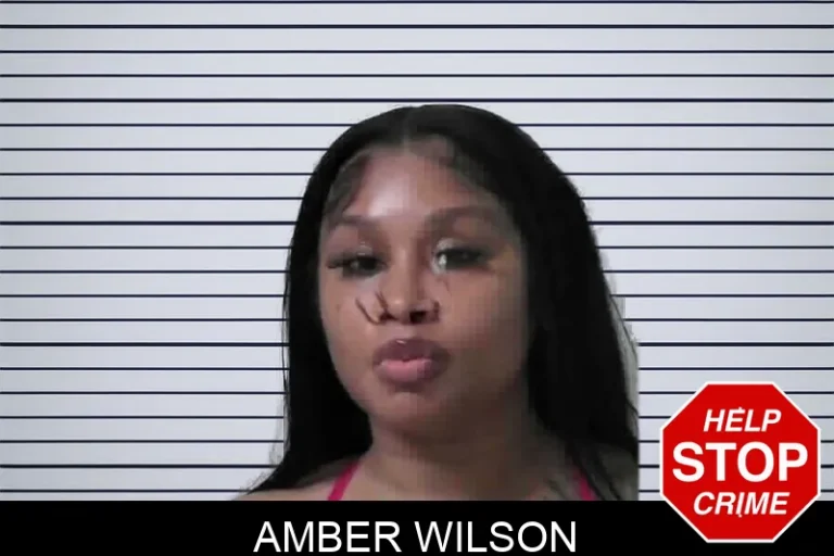 Amber Wilson mugshot – Miller County , Georgia Amber Wilson