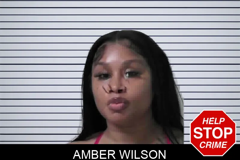 Amber Wilson mugshot – Miller County , Georgia Amber Wilson mugshot
