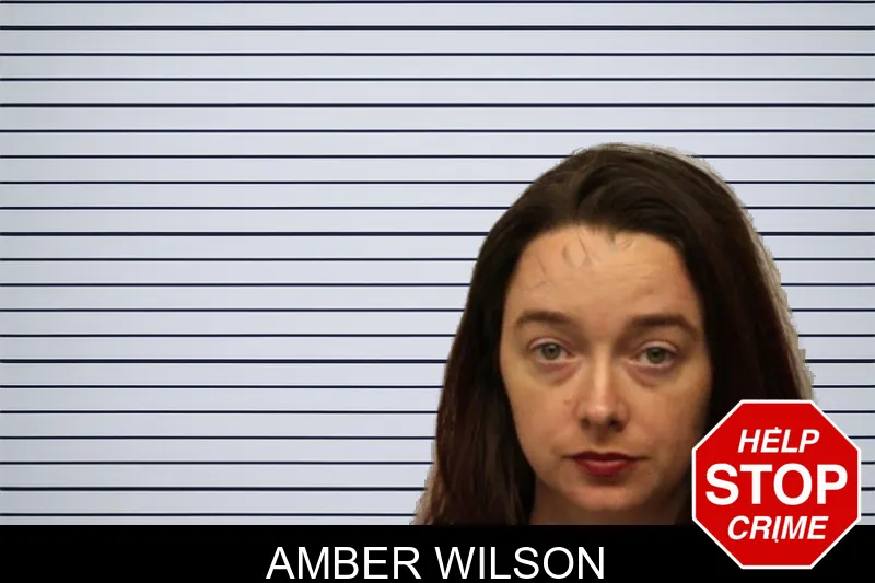 Amber Wilson mugshot – Chatham County , Georgia Amber Wilson mugshot