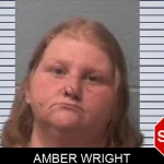 Amber Wright mugshot – Franklin County , Georgia Amber Wright mugshot