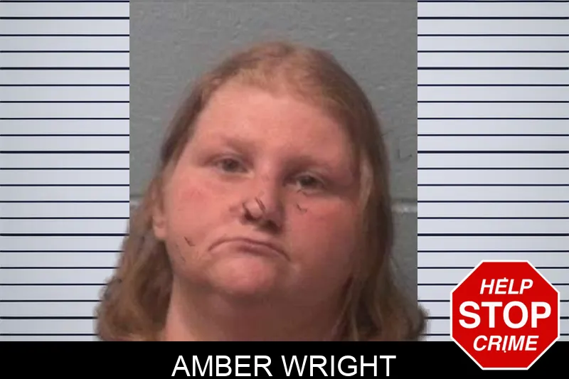 Amber Wright mugshot – Franklin County , Georgia Amber Wright mugshot