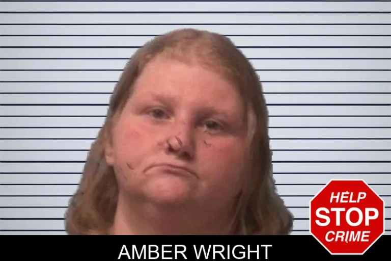Amber Wright mugshot – Franklin County , Georgia Amber Wright