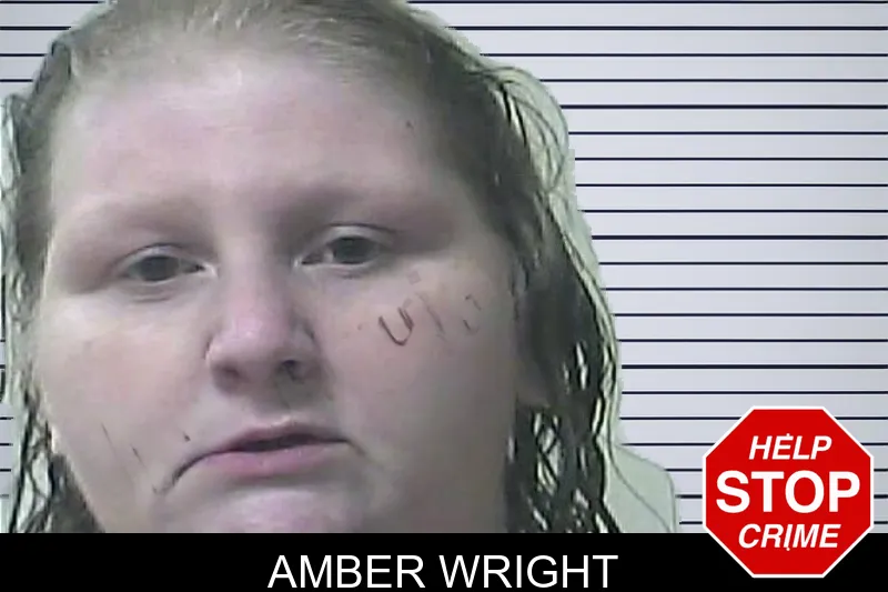 Amber Wright mugshot