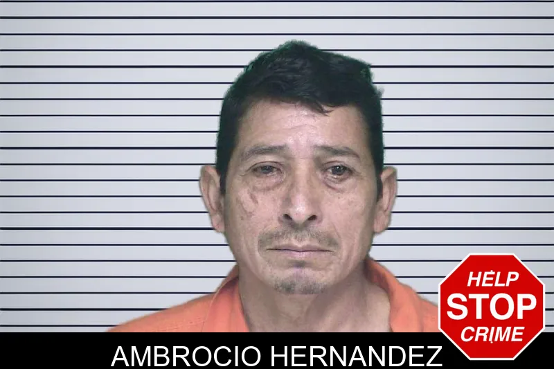 Ambrocio Hernandez mugshot
