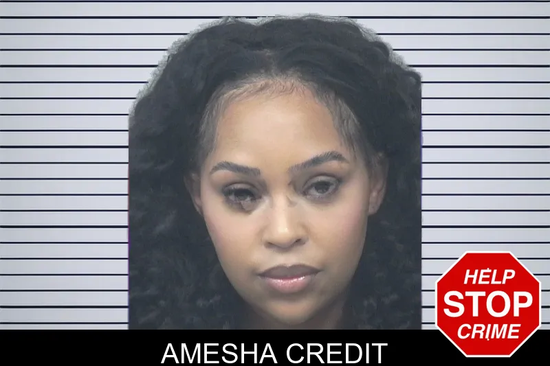 Amesha Credit mugshot