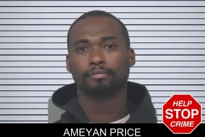 Ameyan Price mugshot