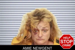 Amie Newgent mugshot