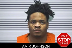 Amir Johnson mugshot