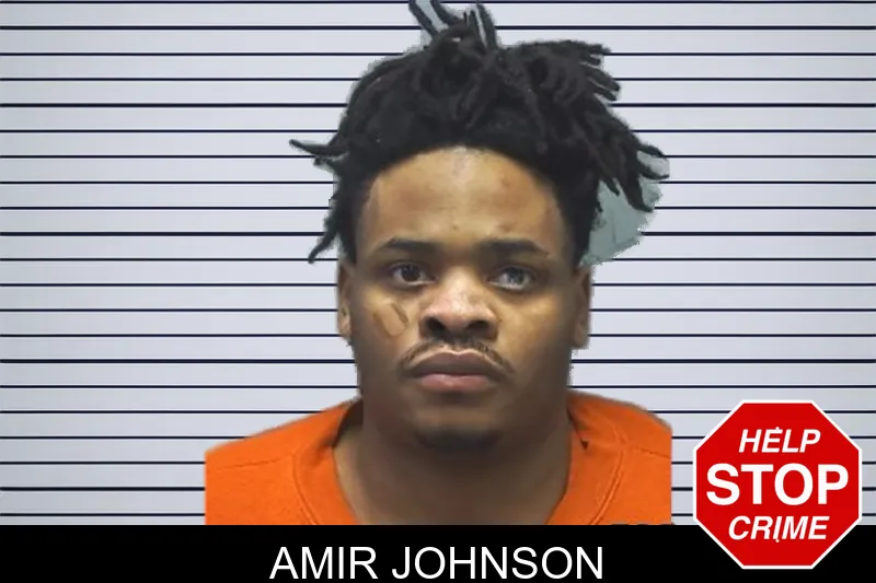 Amir Johnson mugshot