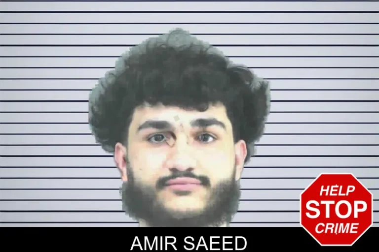 Amir Saeed