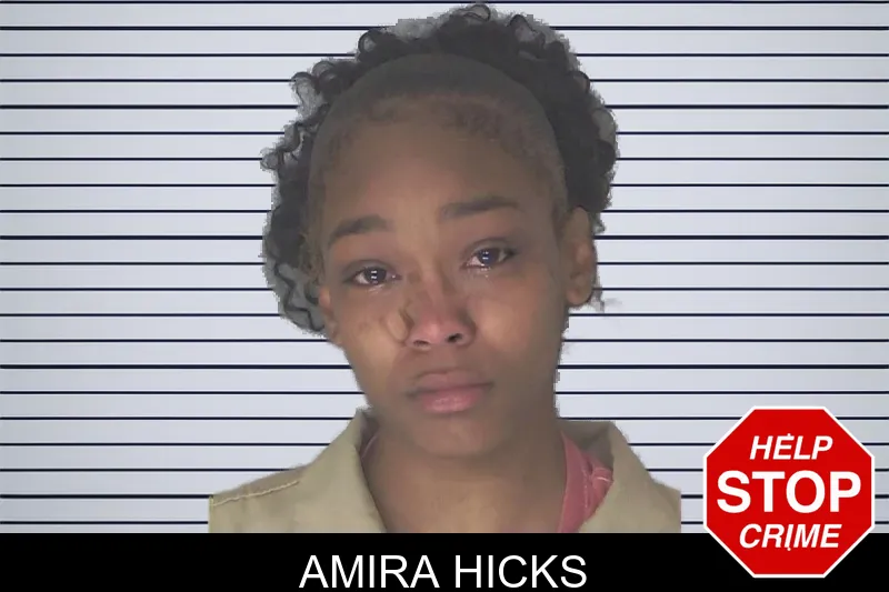Amira Hicks mugshot