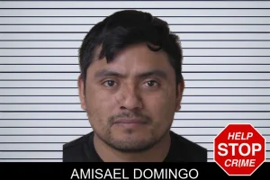 Amisael Domingo mugshot