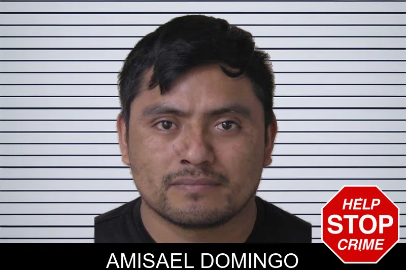 Amisael Domingo mugshot