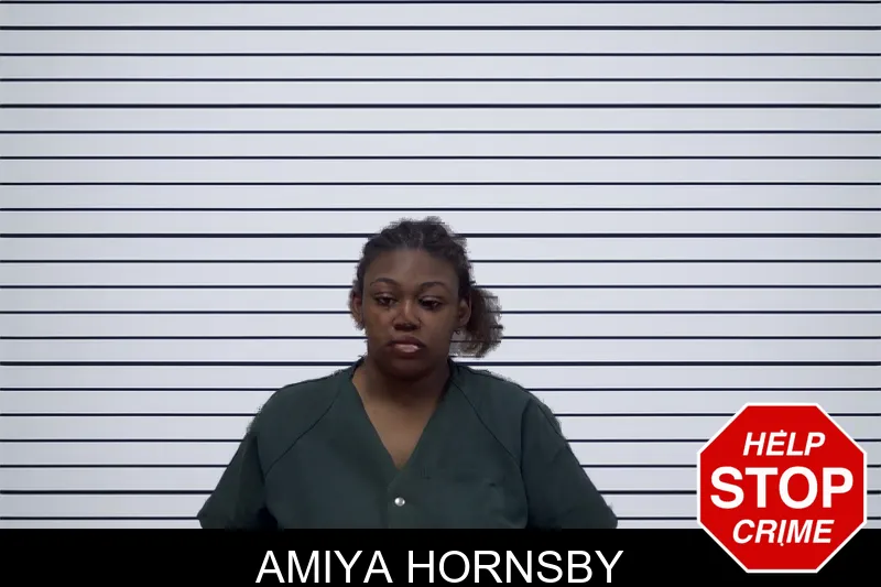 Amiya Hornsby mugshot – Irwin County , Georgia Amiya Hornsby mugshot