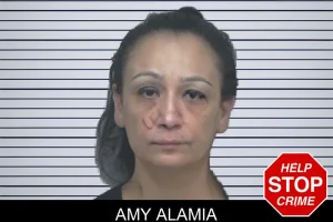 Amy Alamia mugshot