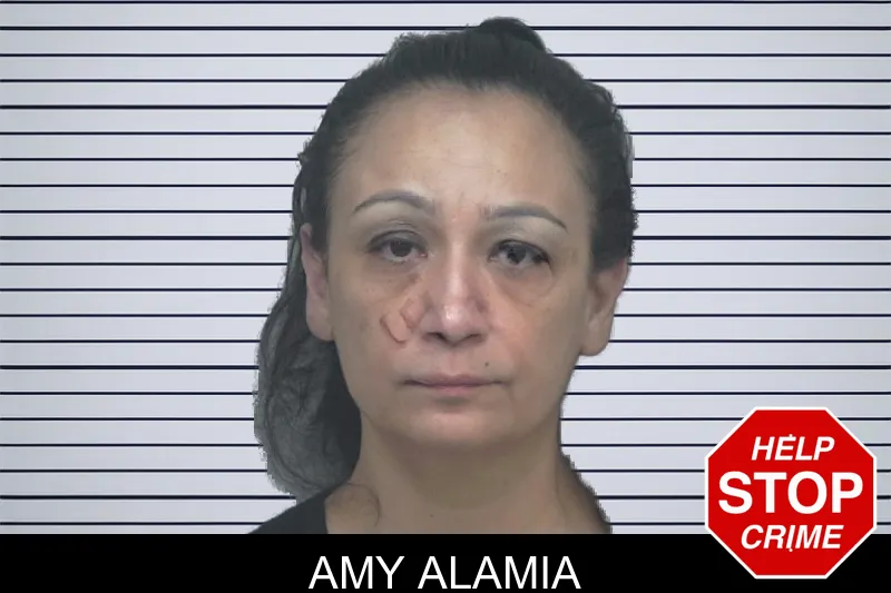 Amy Alamia mugshot