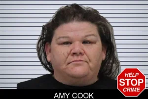 Amy Cook mugshot
